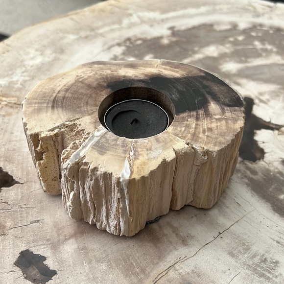 Genuine petrified wood tea light holder & decorative object natural cream black - Picture 8 of 16